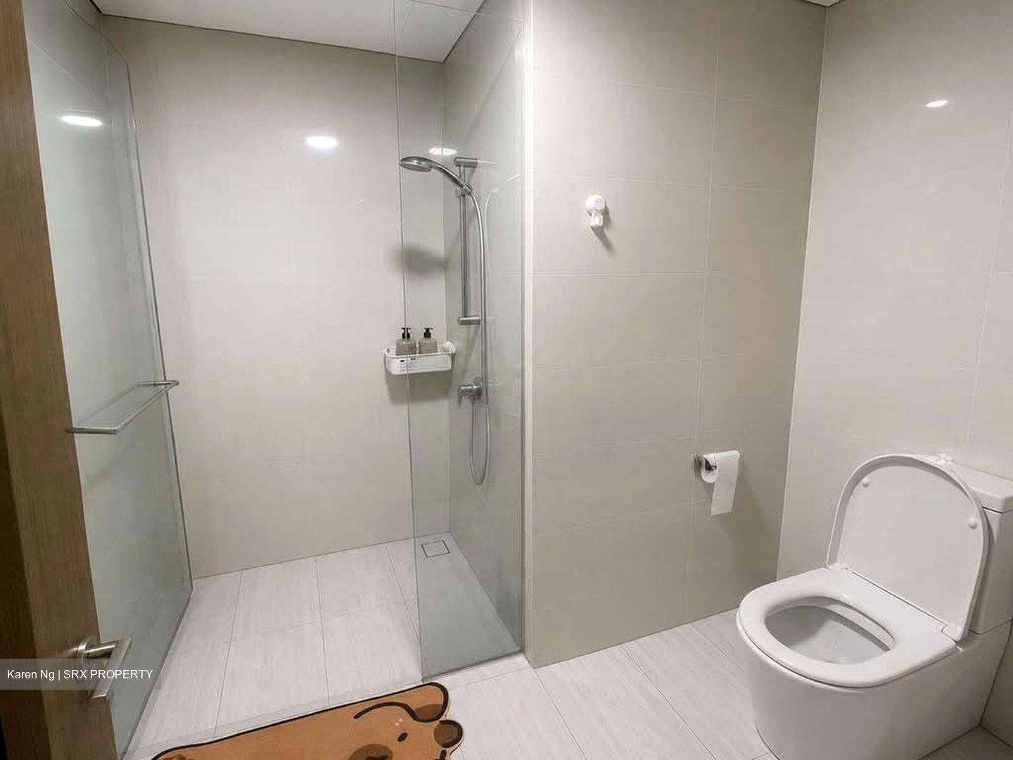 Lakeville (D22), Condominium #586209741